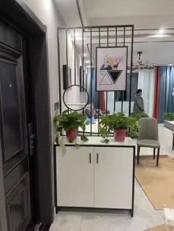 买家安装实拍S119